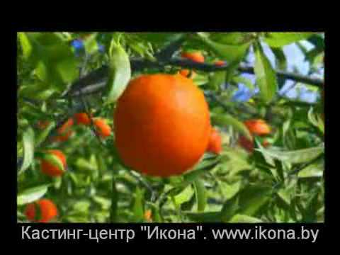 Сок ABC.